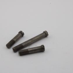 Set de vis Schmidt Rubin K11
