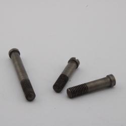 Set de vis Schmidt Rubin G11