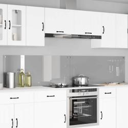 Cr&eacute;dence de cuisine 2 pcs Gris clair 120 x 50 cm verre tremp&eacute;
