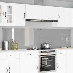 Cr&eacute;dence de cuisine 2 pcs Gris clair 120 x 60 cm verre tremp&eacute;