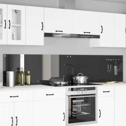 Cr&eacute;dence de cuisine 2 pcs Gris fonc&eacute; 120 x 50 cm verre tremp&eacute;