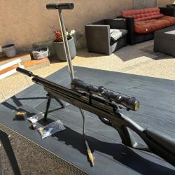 Gamo coyote