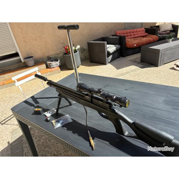 Gamo coyote