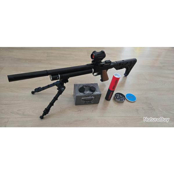 Snowpeak PP750 5.5mm custom 19,9J, Bipied, Point Rouge Vector Optics, Silencieux SD5 et crosse.