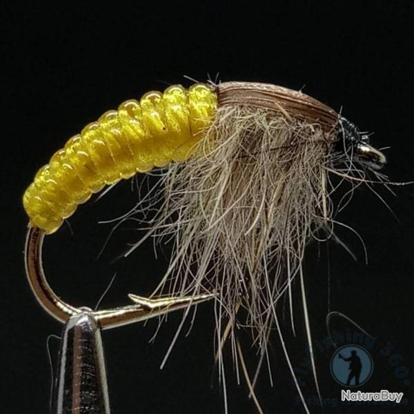 Amonite / Larve - mouche nymphe pour la p�che � la truite et Grayling