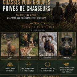 Mont&eacute;rias personnalis&eacute;es