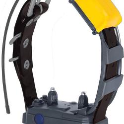 Collier Dogtra Pathfinder 2 localisation + dressage 