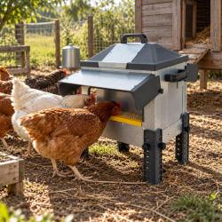 Mangeoire OLBA ROBUST&reg; ouverte 12 kg pour poules, canards et oies