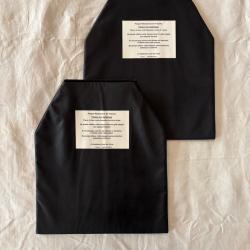 Lot de 2 plaques r&eacute;ductrices de trauma