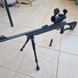 Carabine Mossberg  802 Plinkster + bipied