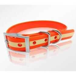 Collier pour chien phosphorescent ORANGE 45