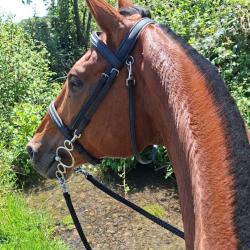 Filet / Bridon strass avec r&ecirc;ne &eacute;thologique/Tapis  Taille Cheval