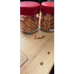 Ogives prvi partizan .223 75gr