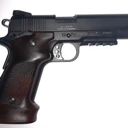 1911 GSG 22LR