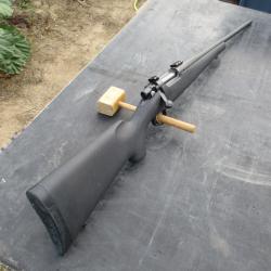 Vends Remington Seven 308W