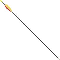 Fl&egrave;che en Fibre de Verre 66 cm pour Arc