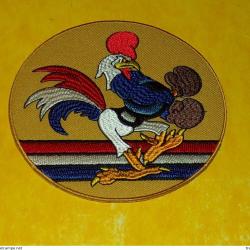 TISSU PATCH : 67 FIGHTER SQUADRON&nbsp;&nbsp;, DIAMETRE 9&nbsp;CM , BON ETAT VOIR PHOTOS . POUR TOUT RENSEIGNEMENT