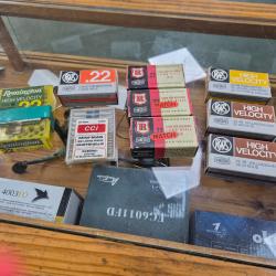 LOT MUNITIONS 22LR DIVERS