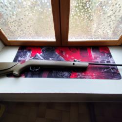 Carabine &agrave; plomb (4,5mm) Gamo Big Cat 1000E Barricade