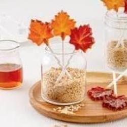 SUCETTE AU SIROP D'&Eacute;RABLE LOT de 5