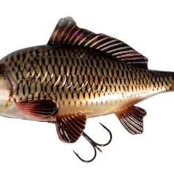 REALISTIC REPLICANT COMMON CARP