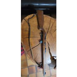 Carabine 22 lr SIDNA