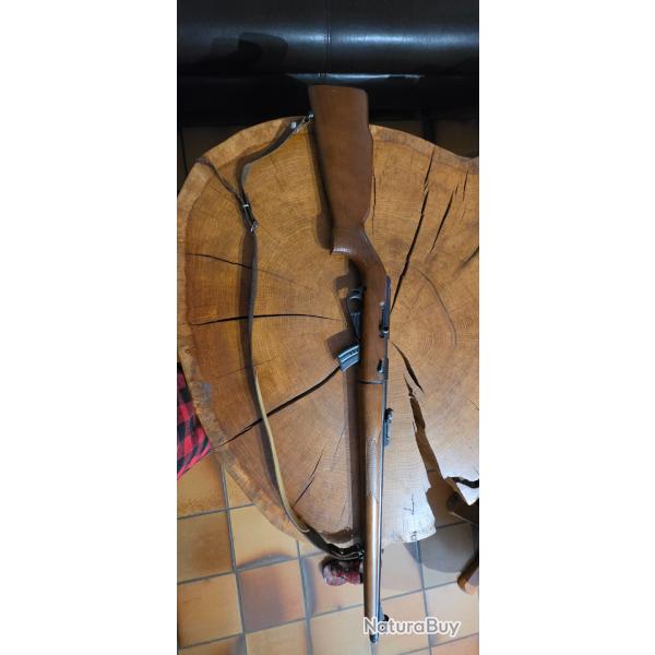Carabine 22 lr SIDNA