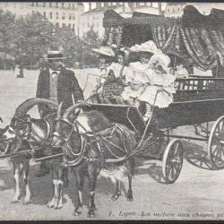 Carte Postale 1. Layon. La voiture aux ch&egrave;ures, place Bellecour.-N&deg;8369
