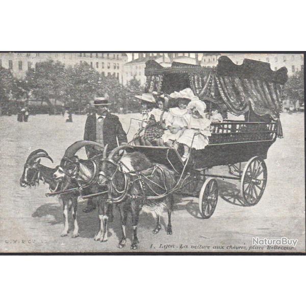 Carte Postale 1. Layon. La voiture aux ch�ures, place Bellecour.-N�8369