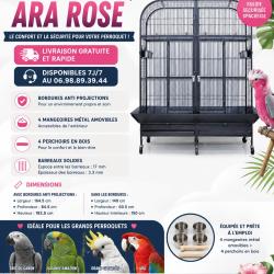 Cage perroquet Ara Gris Gabon Amazon Youyou Eclectus Cage perroquet Double cielterre-commerce avis