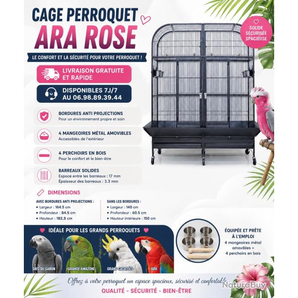 Cage perroquet Ara Gris Gabon Amazon Youyou Eclectus Cage perroquet Double cielterre-commerce avis