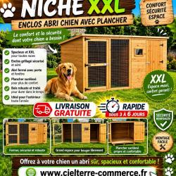 Niche XXL avec Enclos Abri Chien avec Plancher cielterre-commerce