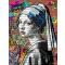 petites annonces chasse p&ecirc;che : Cadre sur toile Vermeer Street art / (80x60 cm)