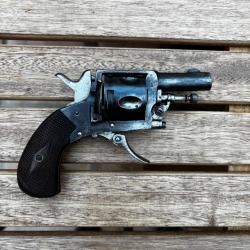 Revolver Bulldog li&eacute;geois cal 320!