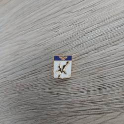 Pin's