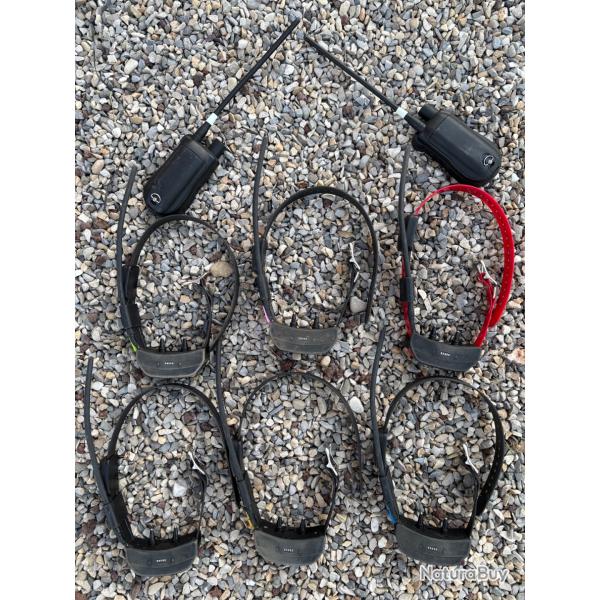 Collier rep�rage/dressage Tek 2.0