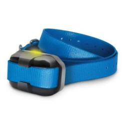 Dogtra Collier Suppl. 640X - R&eacute;f: 171412 - Collier de dressage port&eacute;e 600m
