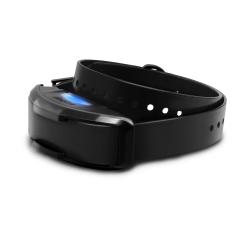 Dogtra Collier Suppl - 1200X BLACK - R&eacute;f: 171504 - Collier de dressage port&eacute;e 1600m