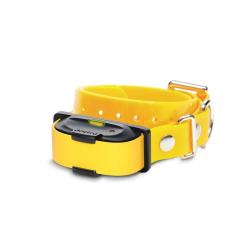 Dogtra iQ MINI - Collier Suppl - R&eacute;cepteur - R&eacute;f: 290304 - Collier de dressage port&eacute;e 400m
