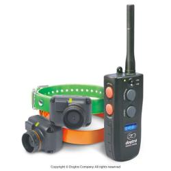 Dogtra Dogtra RB1002 - R&eacute;f: 160147 - Beeper port&eacute;e 1000m