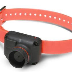 Dogtra Collier Suppl. RB1000 - R&eacute;f: 269031 - Beeper port&eacute;e 1000m