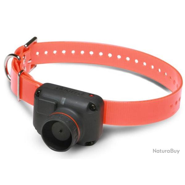 Dogtra Collier Suppl. RB1000 - R�f: 269031 - Beeper port�e 1000m