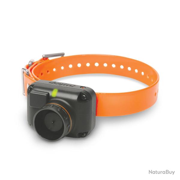 Dogtra 2600(2602)T&B - Collier Suppl - ORANGE - R�f: 290219 - Beeper port�e 1500m