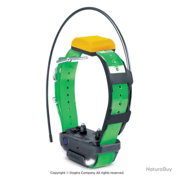 Dogtra Collier Suppl. PATHFINDER 2 (sangle Verte) - R�f: 171009 - GPS & Dressage port�e 10000m
