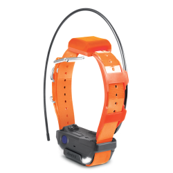 Dogtra Collier Suppl. PATHFINDER 2 TRX (sangle Verte) - R&eacute;f: 171337 - GPS & Dressage port&eacute;e 10000m