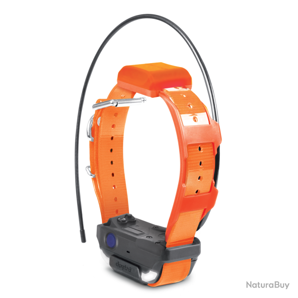 Dogtra Collier Suppl. PATHFINDER 2 TRX (sangle Verte) - R�f: 171337 - GPS & Dressage port�e 10000m