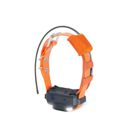 Dogtra Collier Suppl. PATHFINDER 2 MINI TRX (sangle Verte) - R&eacute;f: 171382 - GPS & Dressage port&eacute;e 500
