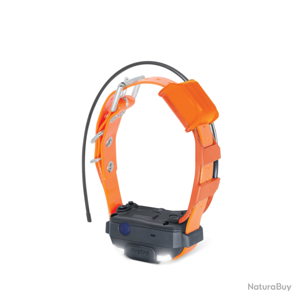 Dogtra Collier Suppl. PATHFINDER 2 MINI TRX (sangle Verte) - R�f: 171382 - GPS & Dressage port�e 500