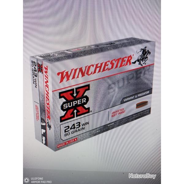 Winchester power point 243 win 80 grains 20 munitions