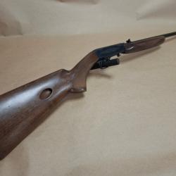 Browning SA22 en 22 Short